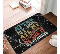 Door Mat After My Dog Ate My Pronouns He She It Everywhere Entrance Matting Absorbent Floor Mat Non-Slip Entrance Rug For Indoor Outdoor Living Room 40X60CM
