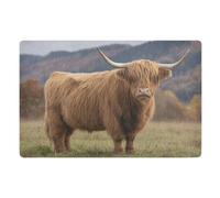 Door Mat, Beautiful Highland Cow Anti-Slip Shoe Mat, Outdoor Entrance Front Doormat, Easy to Clean- Entryway Rug, for Garden Home Patio Porch 32x20 In