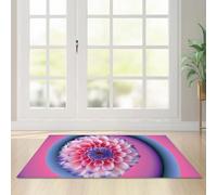 Door Mat Blue Pink Flower Outdoor Rug Washable Doormat Thicken Rugs Living Room Non Slip Indoor Door Mat Outdoor for Front Door Flannel Area Rugs for Living Room Bedroom Carpet 120x160cm