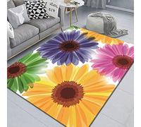Door Mat Colorful Flower Graffiti Outdoor Rug Washable Door Mat Indoor Outdoor Thicken Doorma Non Slip Rugs Living Room Flannel Area Rugs Carpets for Living Room Bedroom Doormats 40x60cm