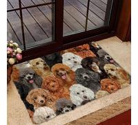 Door Mat Decorative Welcome Non Slip and Washable Doormat A Bunch of Poodles Doormat Indoor Entrance Porch Welcome Funny Home Decor 30X18 Inch