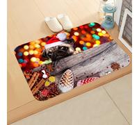 Door Mat Dog Brown Yellow Outdoor Rug Washable Door Mat Indoor Outdoor Thicken Doorma Non Slip Rugs Living Room Flannel Area Rugs Carpets for Living Room Bedroom Doormats 100x150cm