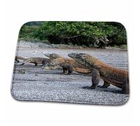 Door Mat Flower Indonesia, Rinca Island, Komodo Np. Komodo Dragons Flannel Mat Rug Washable Print Floor Mats, For Shower, Living Room, Kitchen, 40x60cm