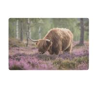 Door Mat, Highland Cow and Flower Anti-Slip Shoe Mat, Outdoor Entrance Front Doormat, Easy to Clean- Entryway Rug, for Garden Home Patio Porch 32x20 In