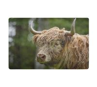 Door Mat, Highland Cow Pattern Anti-Slip Shoe Mat, Outdoor Entrance Front Doormat, Easy to Clean- Entryway Rug, for Garden Home Patio Porch 32x20 In