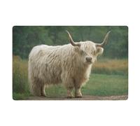 Door Mat, Highland Cow Photo Print Anti-Slip Shoe Mat, Outdoor Entrance Front Doormat, Easy to Clean- Entryway Rug, for Garden Home Patio Porch 32x20 In