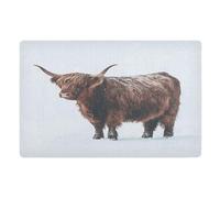 Door Mat, Highland Cow Standing Print Anti-Slip Shoe Mat, Outdoor Entrance Front Doormat, Easy to Clean- Entryway Rug, for Garden Home Patio Porch 32x20 In