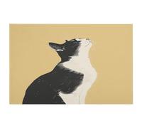 Door Mat Home Welcome Mats Outdoor Indoor Doormat Front Back Door Mats Black and White Cat Doormats for Entryway Outdoor Door Mats Non-Slip Floor Mat for Home Entrance Entry Yard Floor Patio
