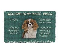 Door Mat Indoor Entrance Cavalier King Charles Spaniel Welcome to My House Rules Custom Doormat Personalized Gifts Home Decor Housewarming Decor 23.6x15.7 Inch