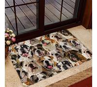 Door Mat Indoor Entrance Porch Welcome Flannel Bathmat A Bunch of English/British Bulldogs Doormat Home Decor Housewarming Decor 23.6x15.7 Inch
