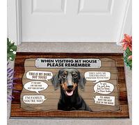 Door Mat Indoor Entrance Porch Welcome Flannel Bathmat Dachshund When Visiting My House Please Remember Pattern Doormat Home Decor Home Decor Housewarming Decor 23.6x15.7 Inch