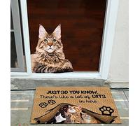 Door Mat Indoor Entrance Porch Welcome Flannel Bathmat Hand Drawn Paws There's Like A Lot of Cats in Here Design Doormat Home Decor Home Decor Housewarming Decor 23.6x15.7 Inch
