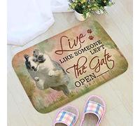 Door Mat Indoor Entrance Porch Welcome Flannel Bathmat Live Like Someone Left The Gate Open Shetland Sheepdog Dog Running Doormat Home Decor Home Decor Housewarming Decor 30x18 Inch
