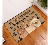 Door Mat Indoor Entrance Porch Welcome Flannel Bathmat Lovely Pomeranian No Need to Knock Doormat Home Decor Home Decor Housewarming Decor 23.6x15.7 Inch