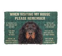 Door Mat Indoor Entrance Porch Welcome Flannel Bathmat Please Remember Gordon Setter Dogs House Rules Doormat Personalized Gifts Home Decor Housewarming Decor 23.6x15.7 Inch