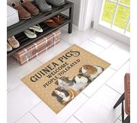 Door Mat Indoor Entrance Porch Welcome Funny Flannel Floor Mat Playful Guinea Pigs Welcome People Tolerated Design Doormat Home Decor Home Decor Housewarming Decor 36x24 Inch