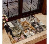 Door Mat Indoor Entrance Porch Welcome Funny Non Slip Rugs A Bunch of Maine Coon Cats Doormat Home Decor Housewarming Decor 23.6x15.7 Inch