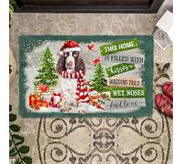 Door Mat Indoor Entrance Porch Welcome Funny Non Slip Rugs This Home is Filled with Kisses/English Springer Spaniel Doormat Home Decor Housewarming Decor 23.6x15.7 Inch
