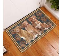Door Mat Indoor Nova Scotia Duck Tolling Retrieve Flower Paw Dog Doormat,Nova Scotia Duck Tolling Retriever Dog Lovers Home Decorative Welcome Doormat 50x80cm