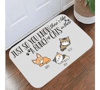 Door Mat Just So You Know There's Like A Bunch Of Cats In There