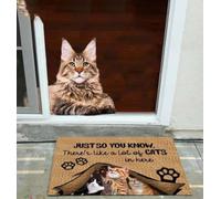 Door Mat Just So You Know Theres Like A Lot Of Cats In Here Doormat