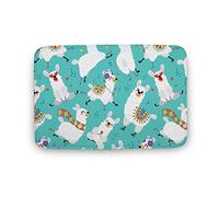 Door Mat Llama Ground Mat Non-Slip Water Absorbent Front Outdoor Rug, For Bathroom, Toilet, Kitchen, 40X60Cm