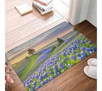 Door Mat Low Profile Welcome Mats No-Slip Entrance Rugs Washable Front Door Mat Texas Bluebonnets Scenery Doormat Floor Mats Bathroom Rugs Indoor Outdoor Doormat for Hallway Home Office 60 x 40cm