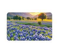 Door Mat Low Profile Welcome Mats No-Slip Entrance Rugs Washable Front Door Mat Texas Bluebonnets Scenery Doormat Floor Mats Bathroom Rugs Indoor Outdoor Doormat for Hallway Home Office 80 x 49 cm