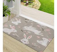 Door Mat,Non-slip Barrier Mats for Indoor and Outdoor,Bunny Easter Bunnies rful Rabbit Cute Egg Happy,Absorbent Entrance Rug Machine Washable Floor Mat Carpet 50x80cm