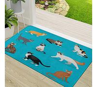 Door Mat,Non-slip Barrier Mats for Indoor and Outdoor,Cats Depicting Different Breeds and Fur r Standing Sitting and Walking on A,Absorbent Entrance Rug Machine Washable Floor Mat Carpet 50x80cm
