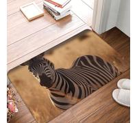 Door Mat Non Slip Rubber Welcome Mat Washable Front Door Mat Zebra on the Grassland Doormat Kitchen Rugs Outdoor Indoor Entryway Floor Mat Low Profile Entrance Mats for Home Porch Hallway Kitchen