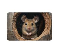 Door Mat Non-Slip Welcome Mats Washable Front Door Mat Mouse in the Hole Doormat Kitchen Rugs for Entryway Absorbent Doormat Indoor Outdoor Entrance Mats for Bedroom Kitchen Porch 80 x 49 cm