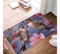 Door Mat Outdoor Indoor Welcome Mats Non Slip Floor Mat Humming Birds with Pink Front Doormat for Entryway Rug Front Porch Laundry Bathroom Bedroom Rug 16x24in Carpet