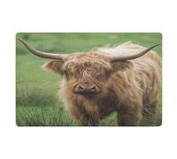 Door Mat, Photo Funny Highland Cow Anti-Slip Shoe Mat, Outdoor Entrance Front Doormat, Easy to Clean- Entryway Rug, for Garden Home Patio Porch 32x20 In
