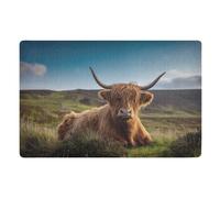 Door Mat, Photo Highland Cow Print Anti-Slip Shoe Mat, Outdoor Entrance Front Doormat, Easy to Clean- Entryway Rug, for Garden Home Patio Porch 32x20 In