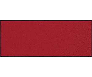 Door Mat Red 75x190 cm red