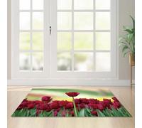 Door Mat Retro Red Green Outdoor Rug Washable Doormat Thicken Rugs Living Room Non Slip Indoor Door Mat Outdoor for Front Door Flannel Area Rugs for Living Room Bedroom Carpet 50x80cm