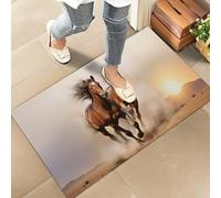 Door Mat Running Horse Desert Grand Design, Wild Western Floor Carpet Rug Non-Slip Door Mats Machine Washable For Indoor Entry Garage 40X60 Cm