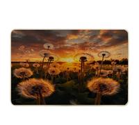 door mat spring nature landscape sunset dandelion botanical tree cloud cottage orange green rubber dirt trap dirt decorations classroom pool garage home