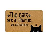 Door Mat The Cats Are In Charge We Just Live Here Floors Mat 40X60CM