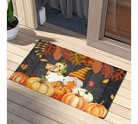 Door Mat Watercolor Pumpkins Fall Floors Mat 40X60CM