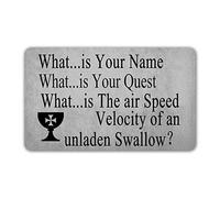 Door Mat What.Is Your Name Quest Speed Velocity Funny Dogs Theme Entrance Matting Machine Washable Floor Mat Soft Front Door Mat For Outdoor Kitchen Inside 40x60cm