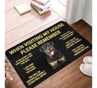 Door Mat When Visiting My House Please Remember Dog Welcome For 40X60CM | Entrance Rug Durable Floor Mat For Living Room
