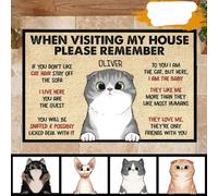 Door Mat When Visiting My House Please Remember - Funny Personalized Cat Doormat