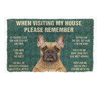 Door Mats Indoor Amazing French Bulldog Dog When Visiting My House Doormat Home Decor House Warming Gifts New Home Decor
