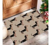 Door Mats Indoor, Cartoon Dachshund Machine Washable Soft Doormats, Dirt Trapper Door Mat, Illustration Animals Absorbent Entrance Rug, Non-Slip Floor Mats For Inside, (50 X 80 Cm, Light Brown)