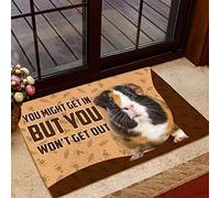 Door Mats Indoor Nice Doormat Home Decor Guinea Pig You Won't Get Out House Warming Gifts New Home Decor