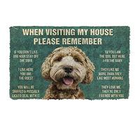 Door Mats Indoor When Visiting My House Doormat Home Decor Labradoodle House Warming Gifts New Home Decor