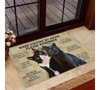 Door Mats Indoor When Visiting My House Funny Cat Doormat Home Decor House Warming Gifts New Home Decor
