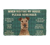 Door Mats Indoor Wonderful Irish Terrier Dogs Lives Here You're Guest Doormat Home Decor House Warming Gifts New Home Decor